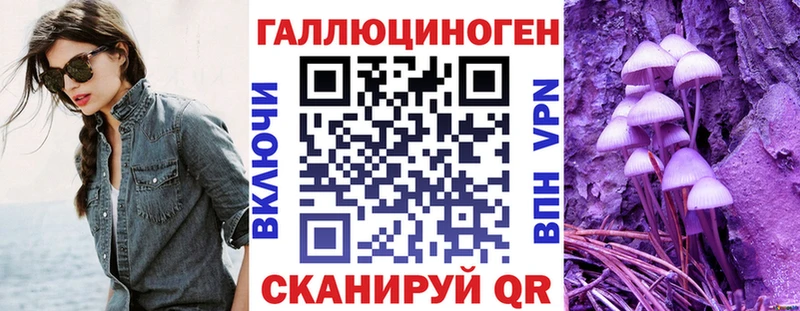 наркотики  Первомайск  OMG вход  Галлюциногенные грибы Psilocybine cubensis 
